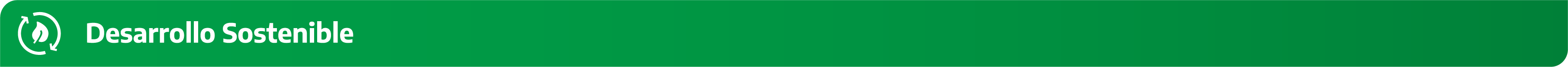 Desarrollo Sostenible